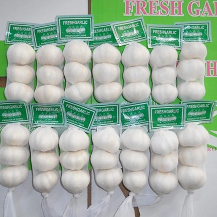 Sei Premium Fresh Garlic iri Sarudzo Inofarirwa yeVatengi Vanoziva Zvemhando?