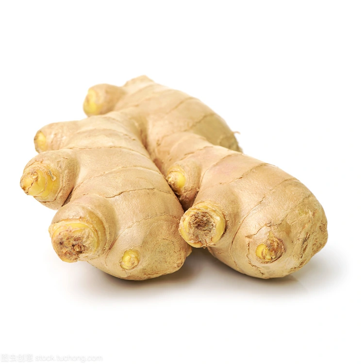 Nei iri Premium Fresh Ginger iri Sarudzo Inofarirwa yeVatengi Vanoziva Zvemhando?