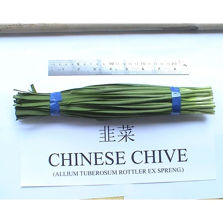 Sei Purazi YechiChinese Chive Chichishandiswa Zvakawanda muAsia Cuisine?