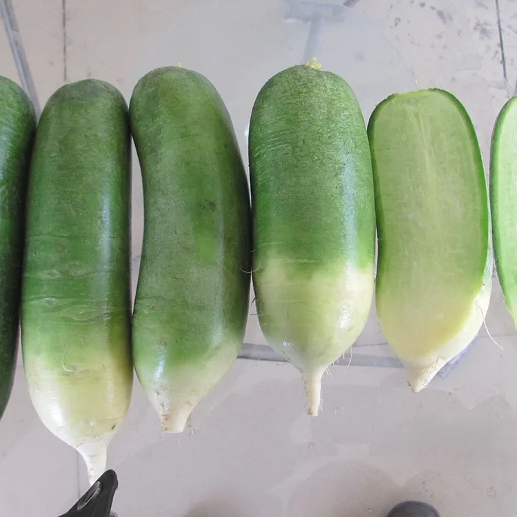 Crunchy Green radish