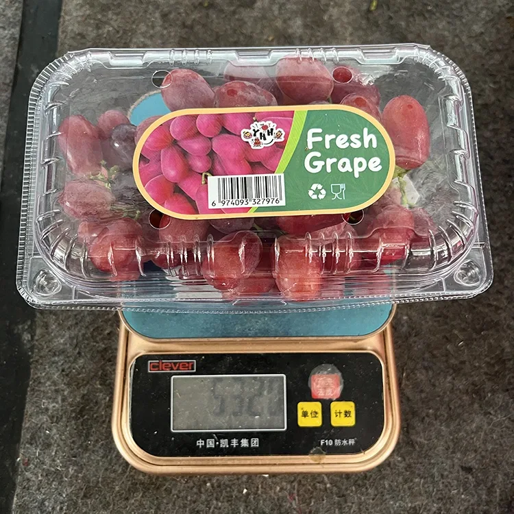 Export Giredhi Fresh Crimson Seedless Grapes