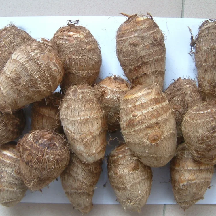 Munda Fresh Taro
