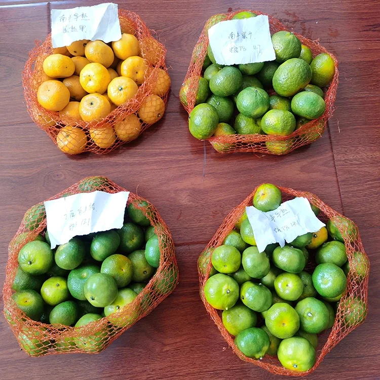 Fresh Huchi Mandarin