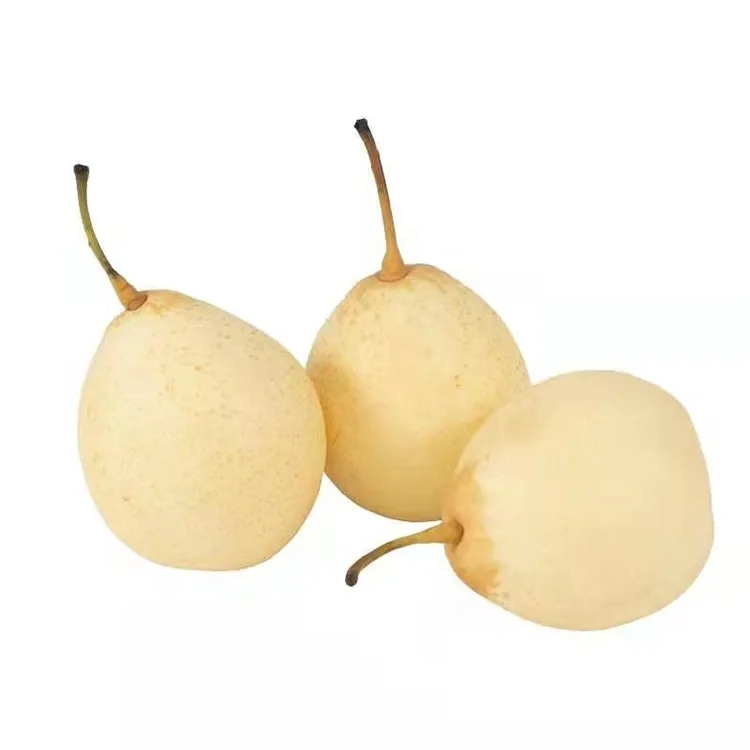 Ya Pear Ichangobva Kukohwewa