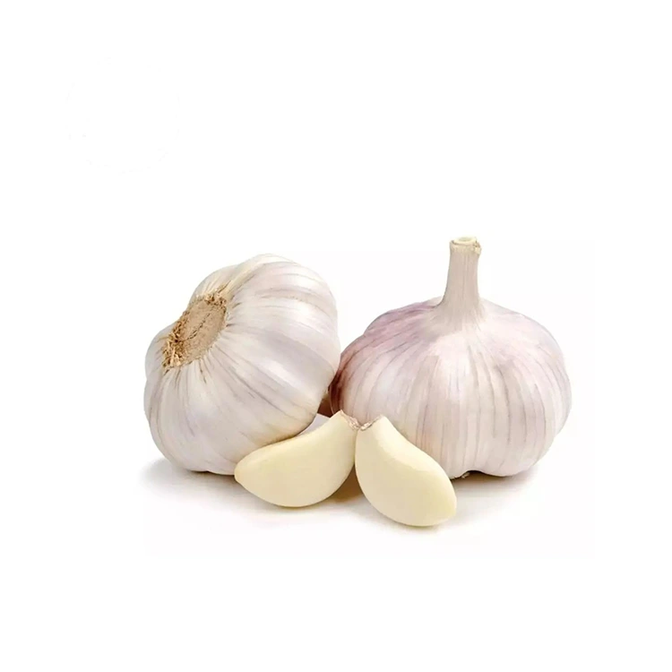 Premium Firm uye Plump Normal White Garlic