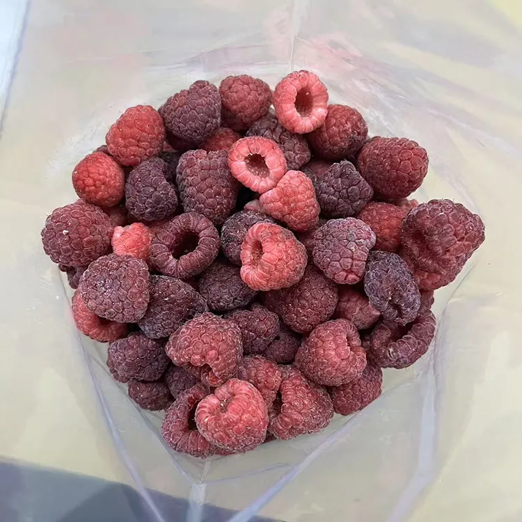 Premium IQF Yese Yakaomeswa Tsvuku Raspberry