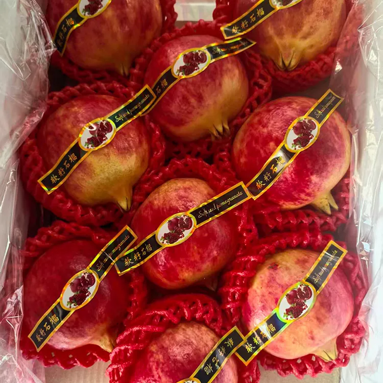 Premium Tunisian Soft-Seeded Matamba