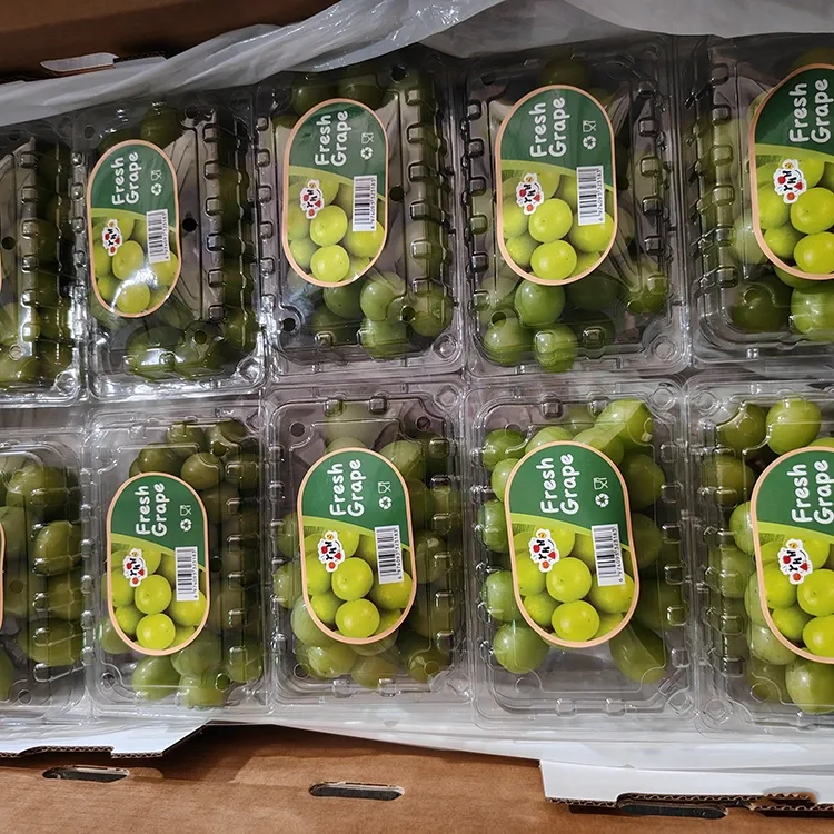 Yakasarudzwa Fresh Shine Muscat Grapes