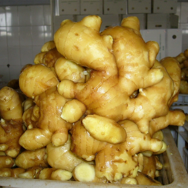 Spicy Fresh Inonhuhwirira Ginger